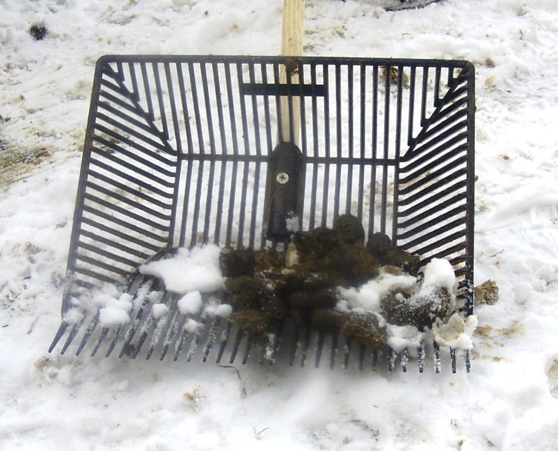FINE-TINES® Stall Fork - Normale Größe - im Schnee-Einsatz